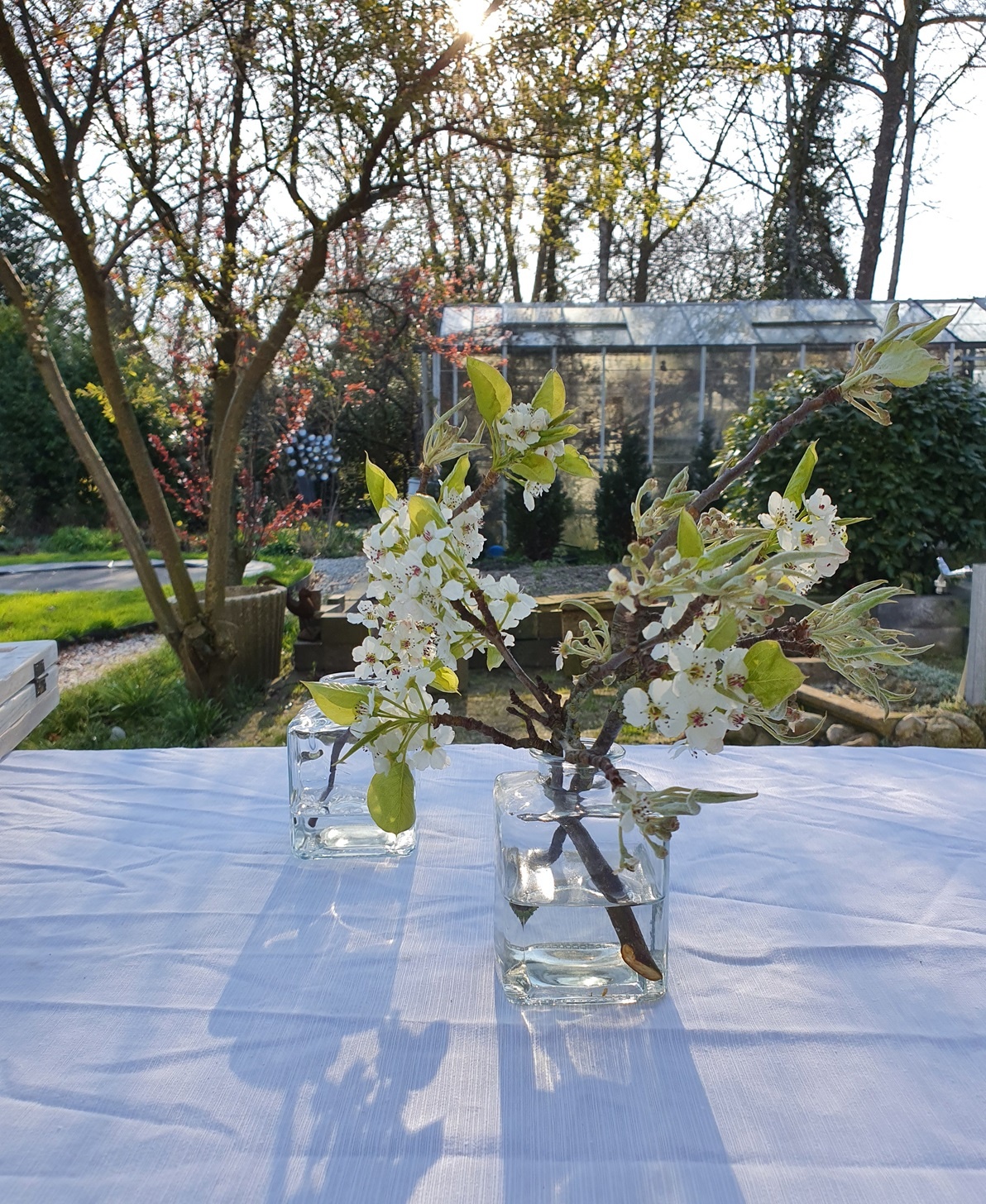 vase glass anne 7.5 / 7.5-7
