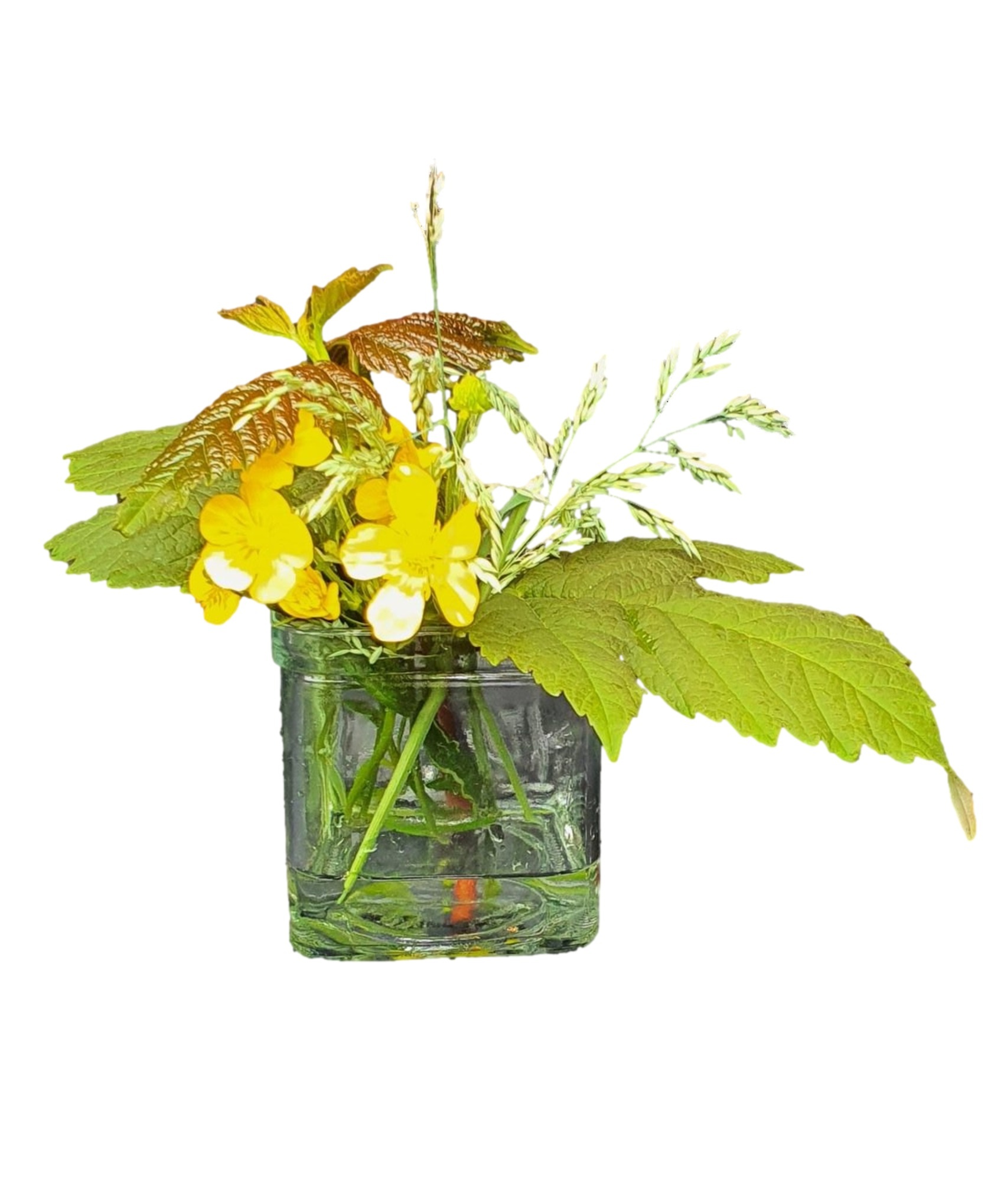 vase glass anne 7.5 /7.5-2