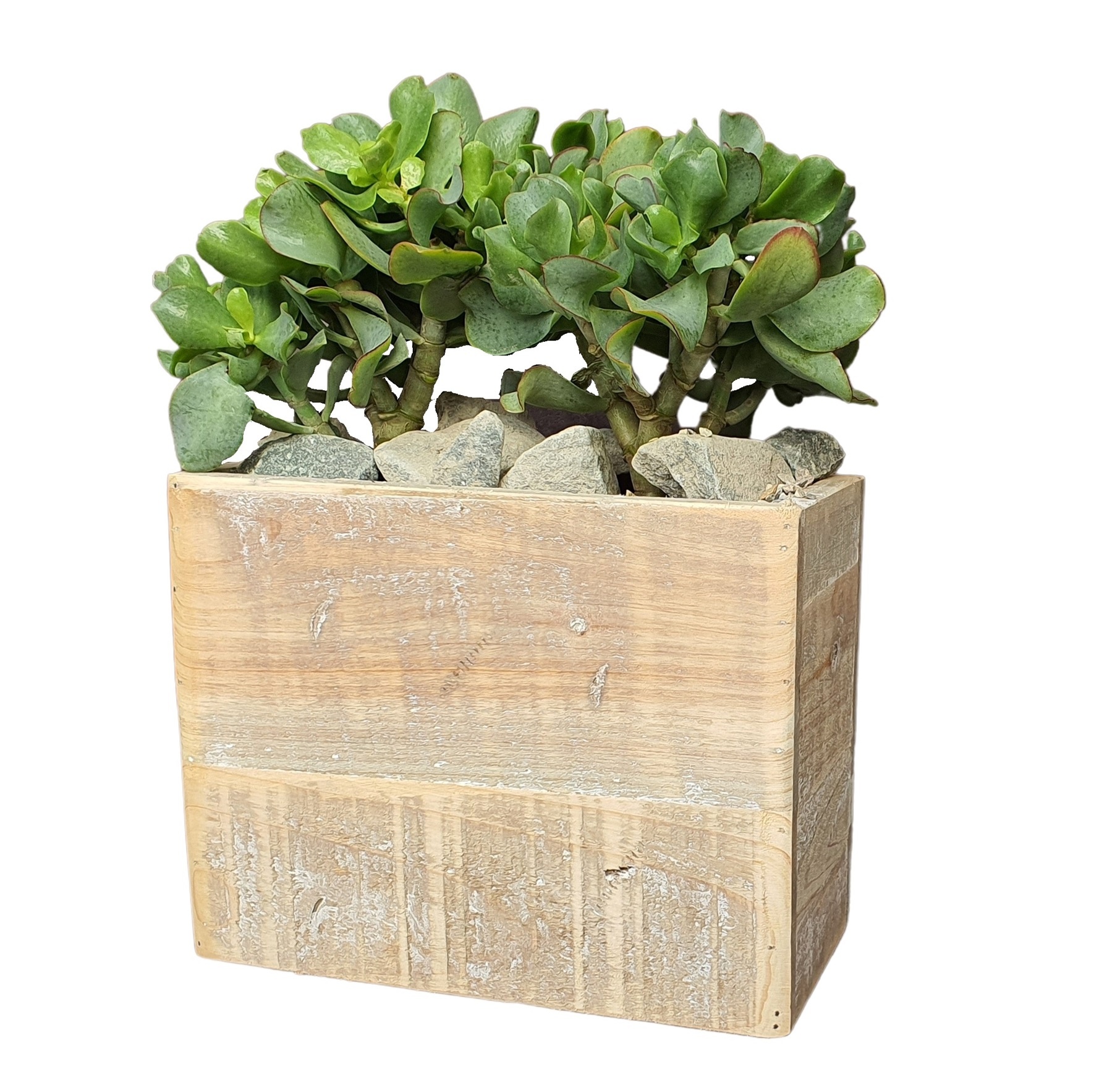 pot old dutch jacob 26/13H-6