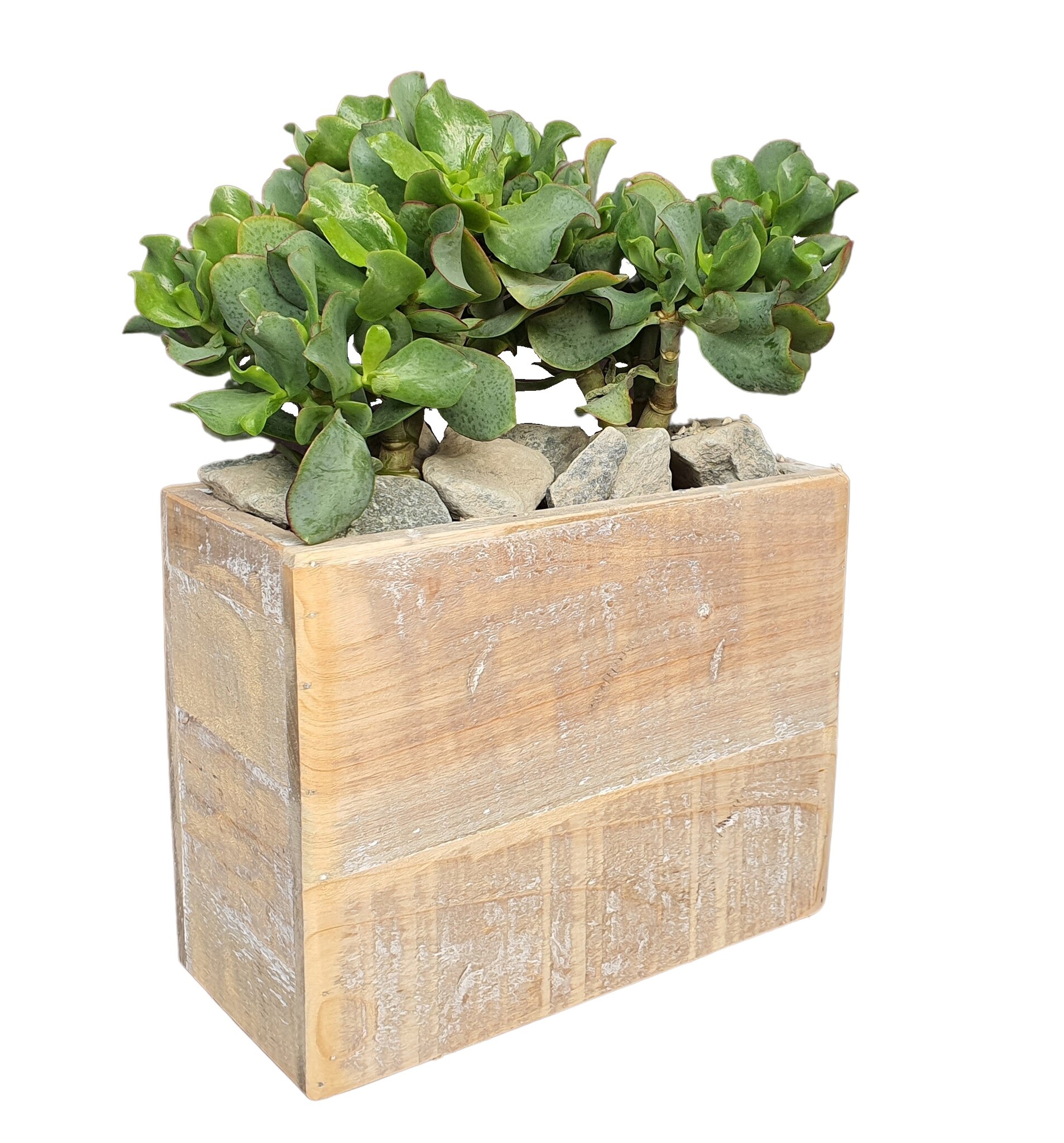 pot old dutch jacob 26/13H-8