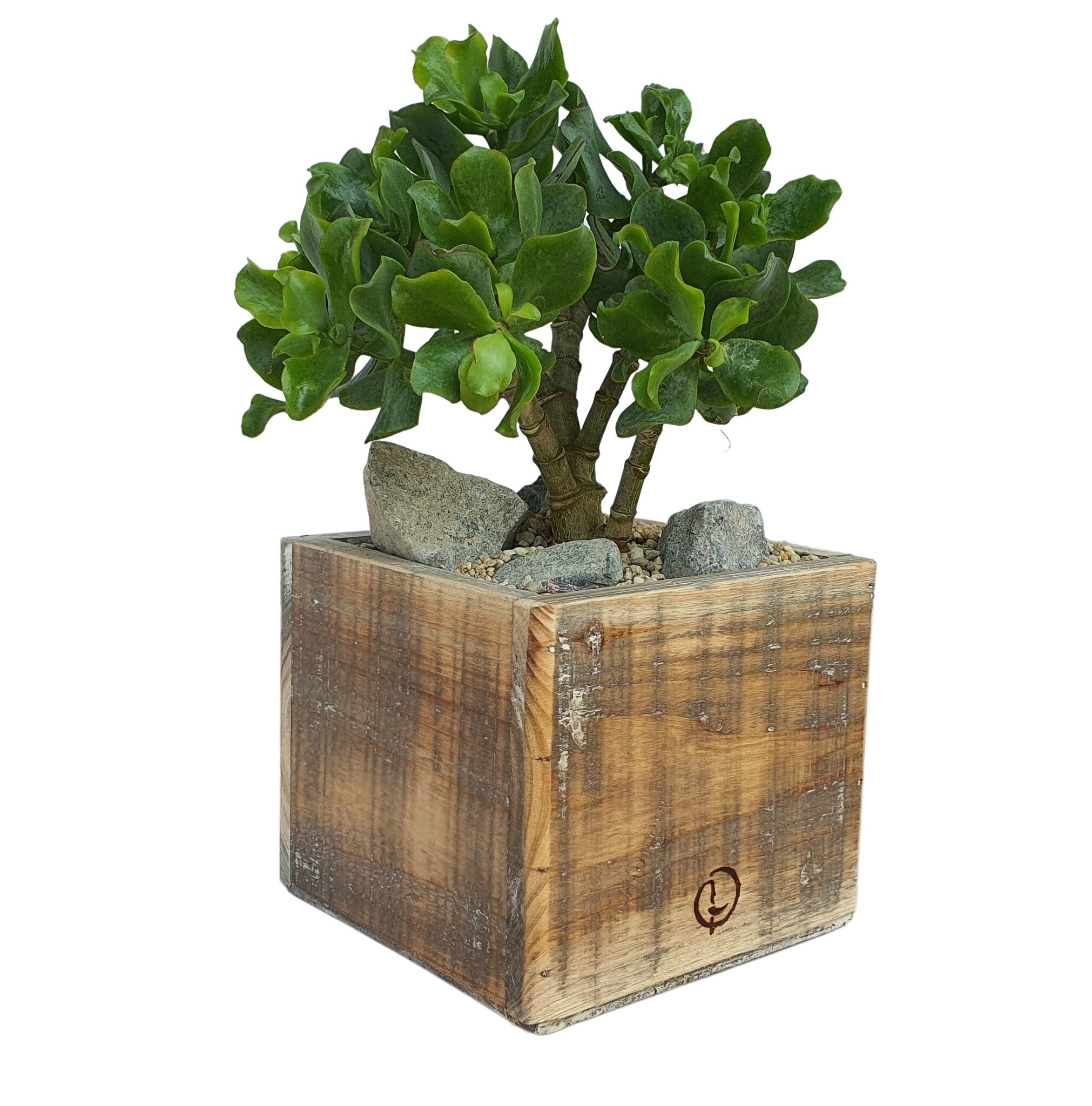 pot old dutch jacob 15-6