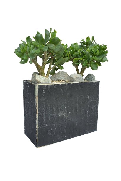 Holztopf hoch 20.5