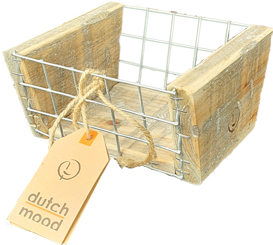 tray old dutch	vega bask S15-5