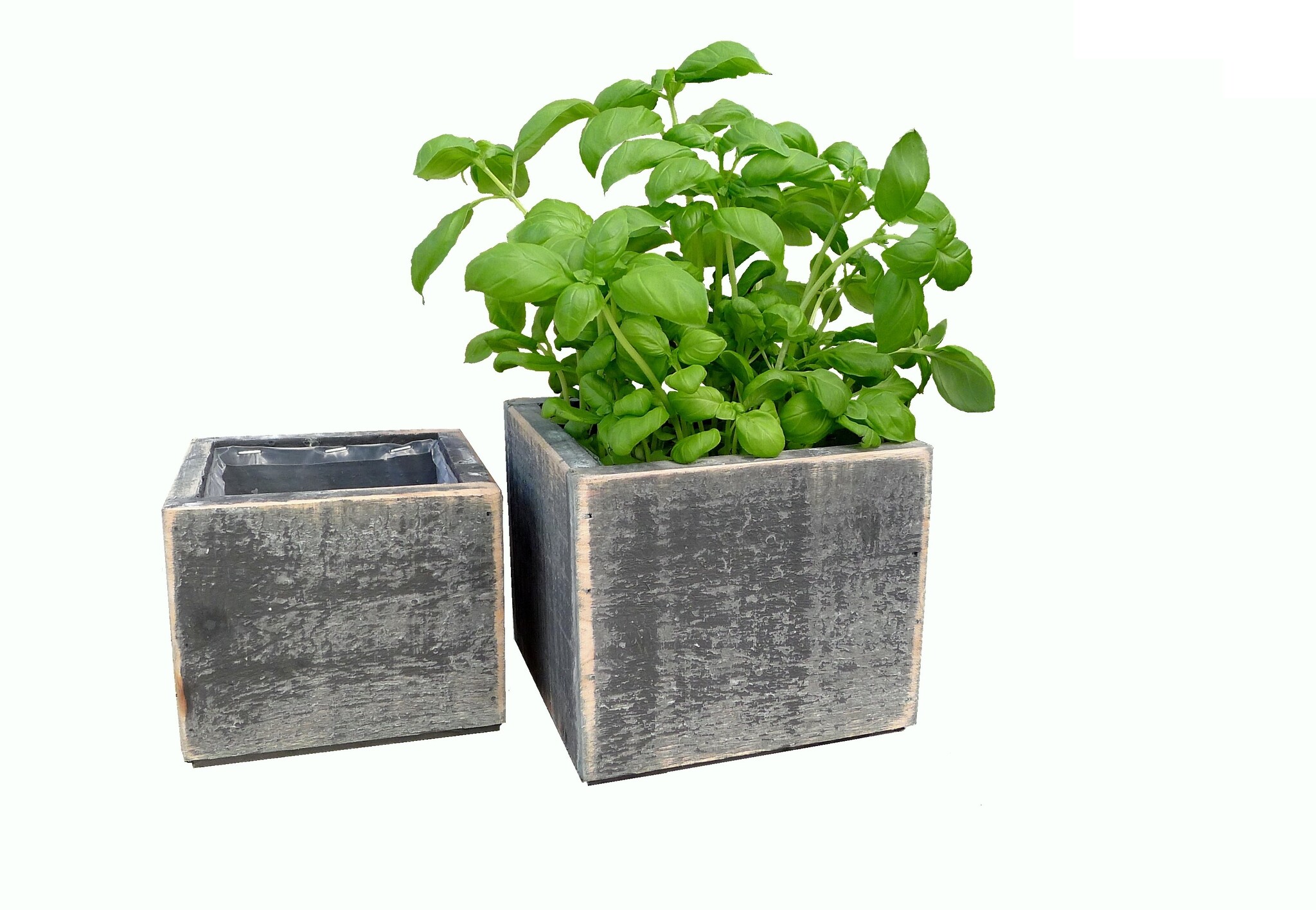 pot black berlin jacob 15-3