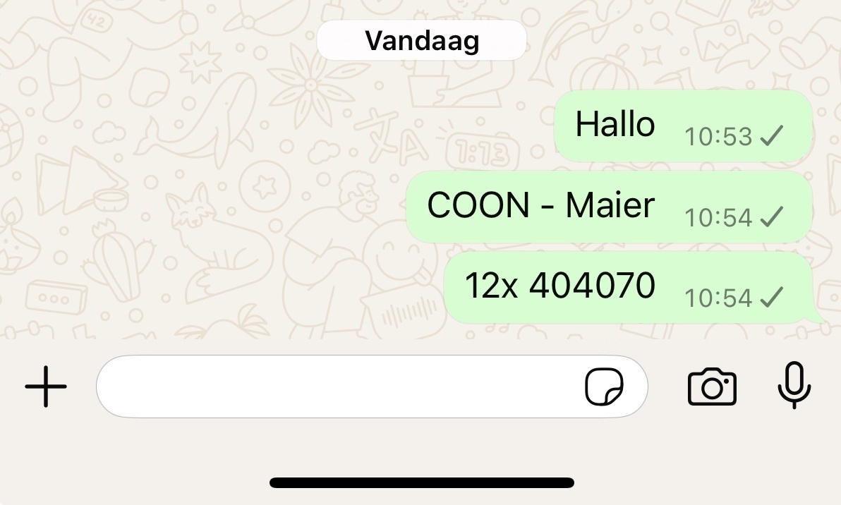 per Whatsapp nur Tekst