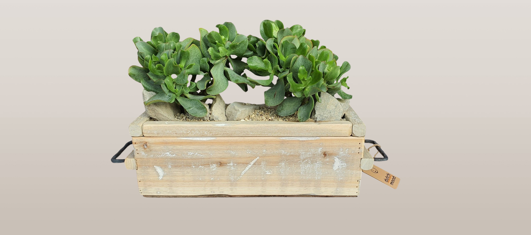 wooden pots / planters