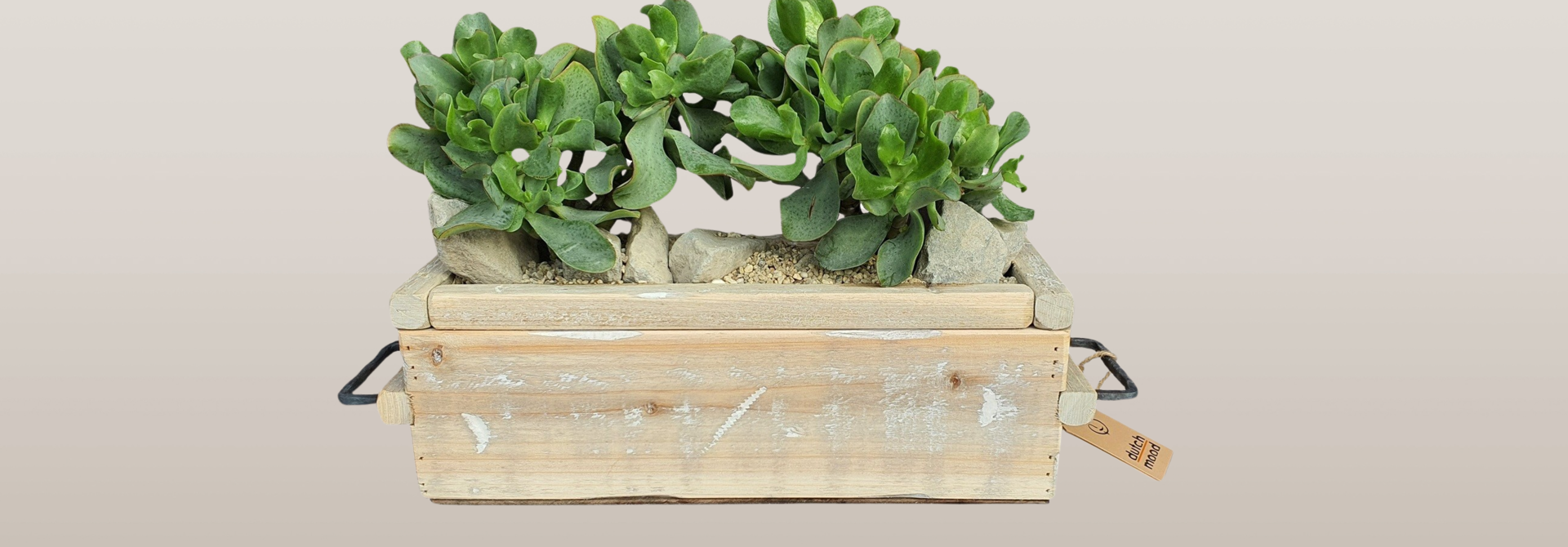 Wooden flower pots and planters with a robust, natural appearance