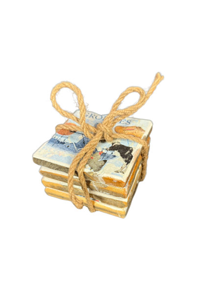 coaster 9x9 holland greetings