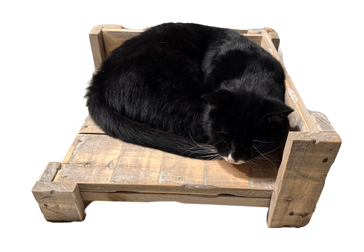 furn old dutch cat table low-9