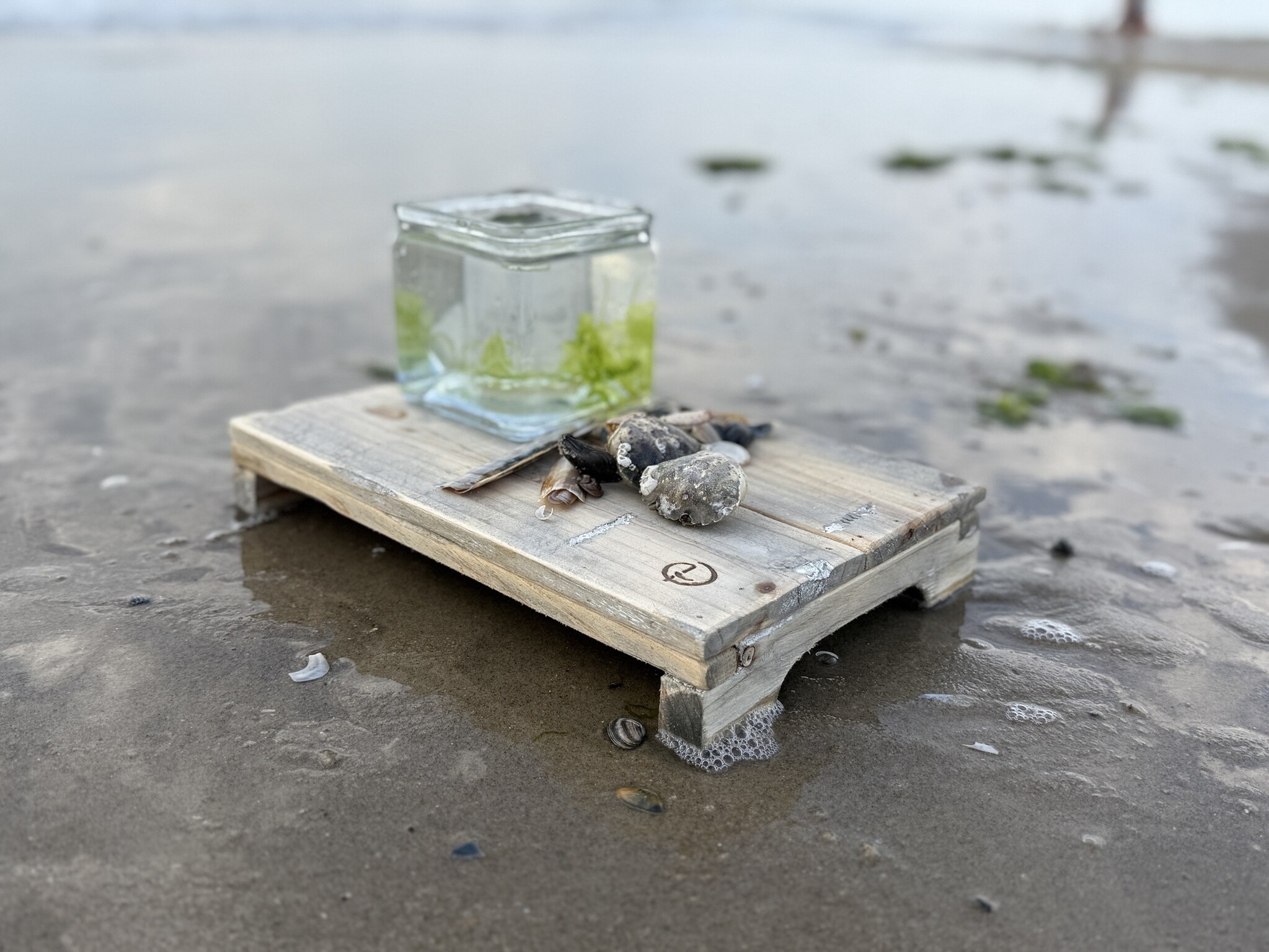 tray old dutch otte 30/20-2