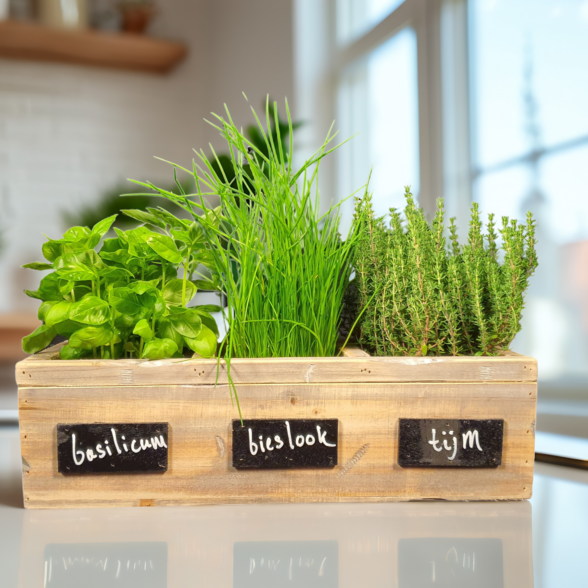 DutchMood wooden pots 