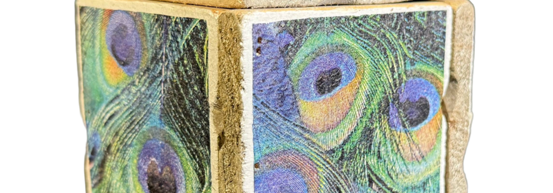 box old dutch tiles 9 peacock feathers