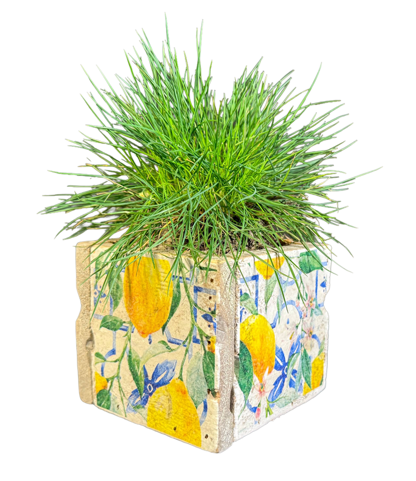 pot old dutch tiles 9 mediterranean lemon-9