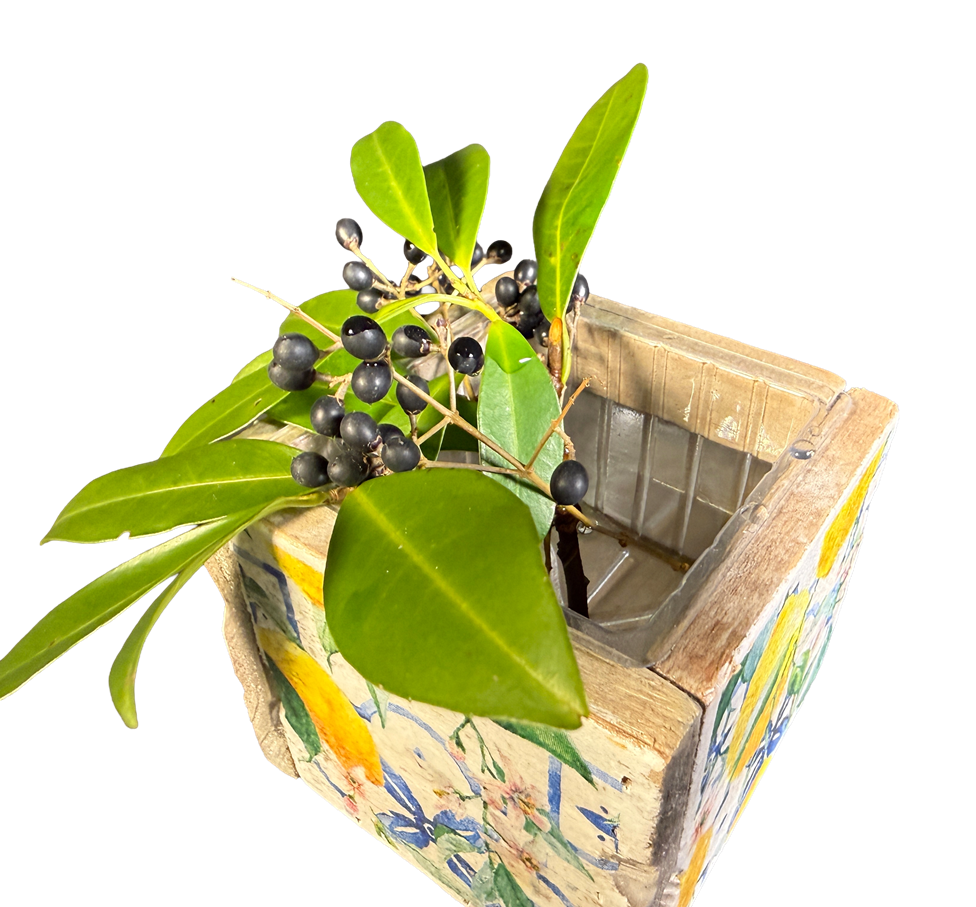 pot old dutch tiles 9 mediterranean lemon-6