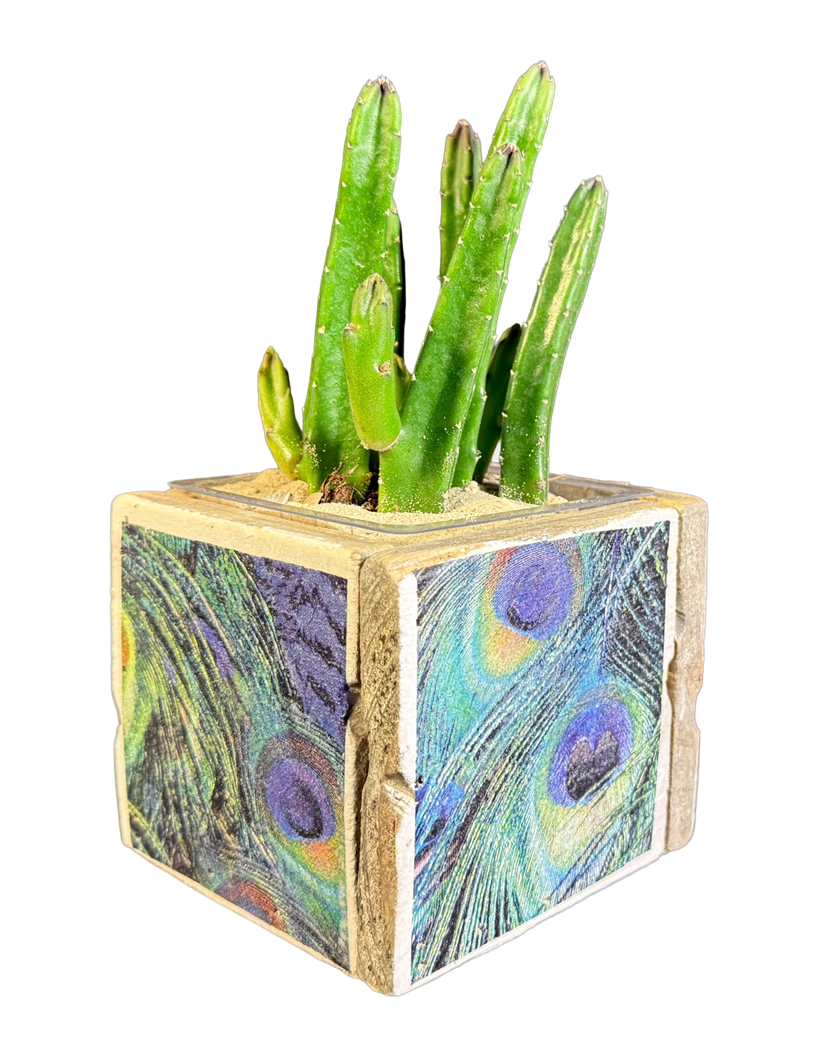 pot old dutch tiles 9 peacock feathers-7