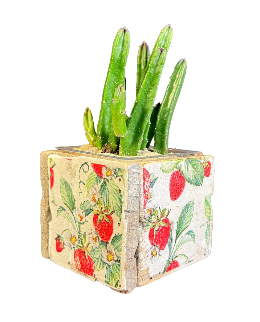 pot old dutch tiles 9 strawberries-8