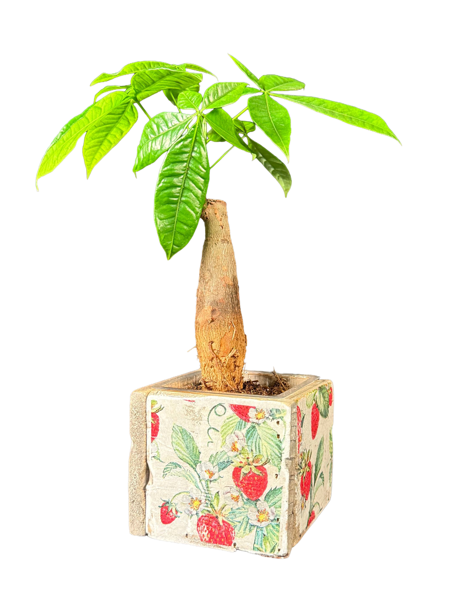 pot old dutch tiles 9 strawberries-9