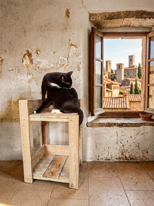 furn old dutch cat table high-2