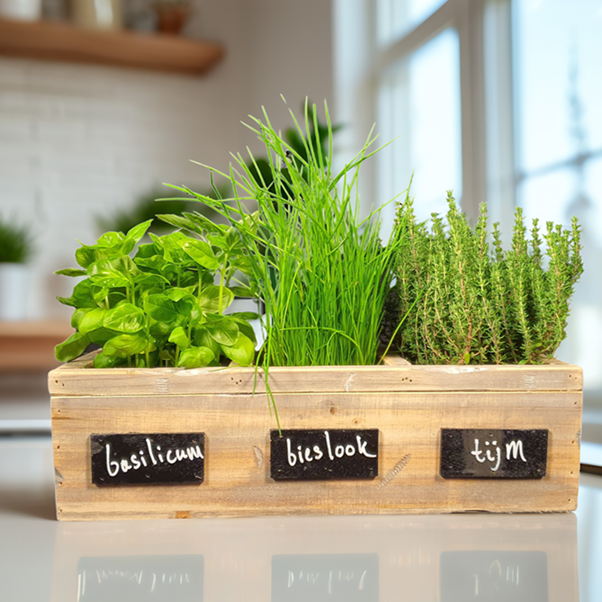 houten plantenbak voor kruidenplantjes van Dutch Mood.