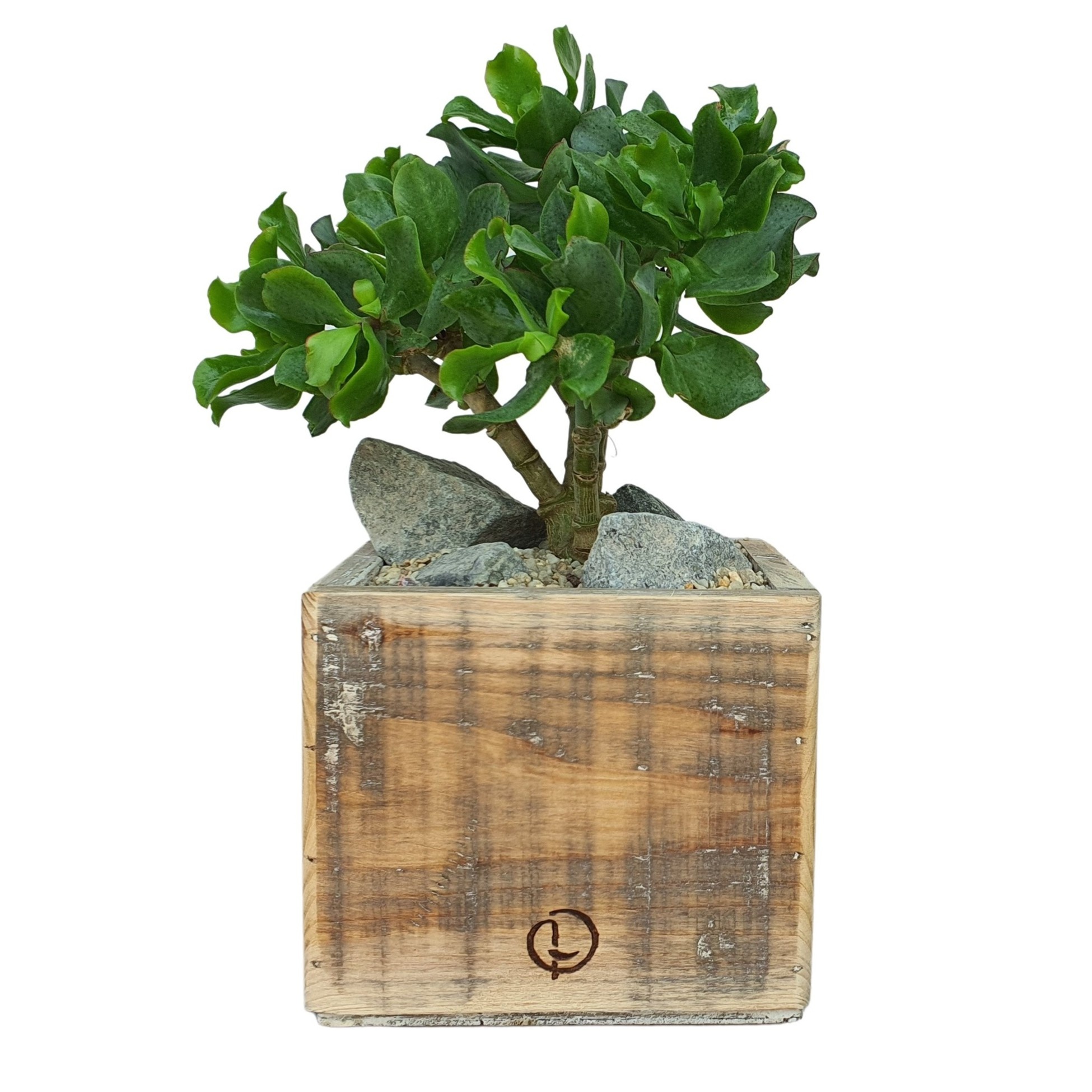 vierkante houten bloempot met plastic erin van Dutch Mood