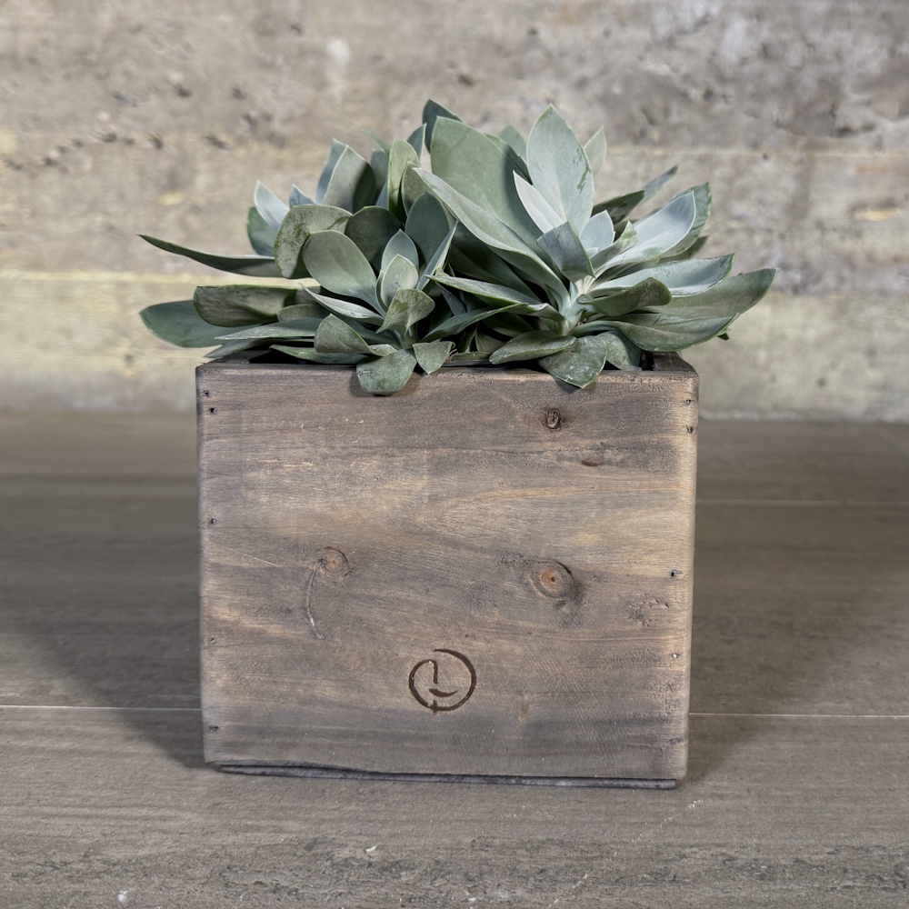 pot cairo grey jacob 15-5