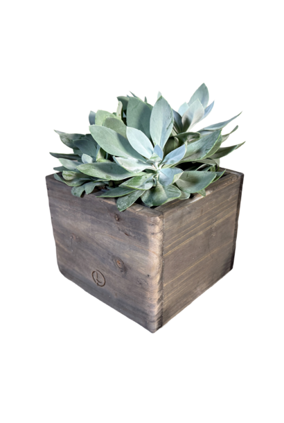 wooden pot square 15 old grey