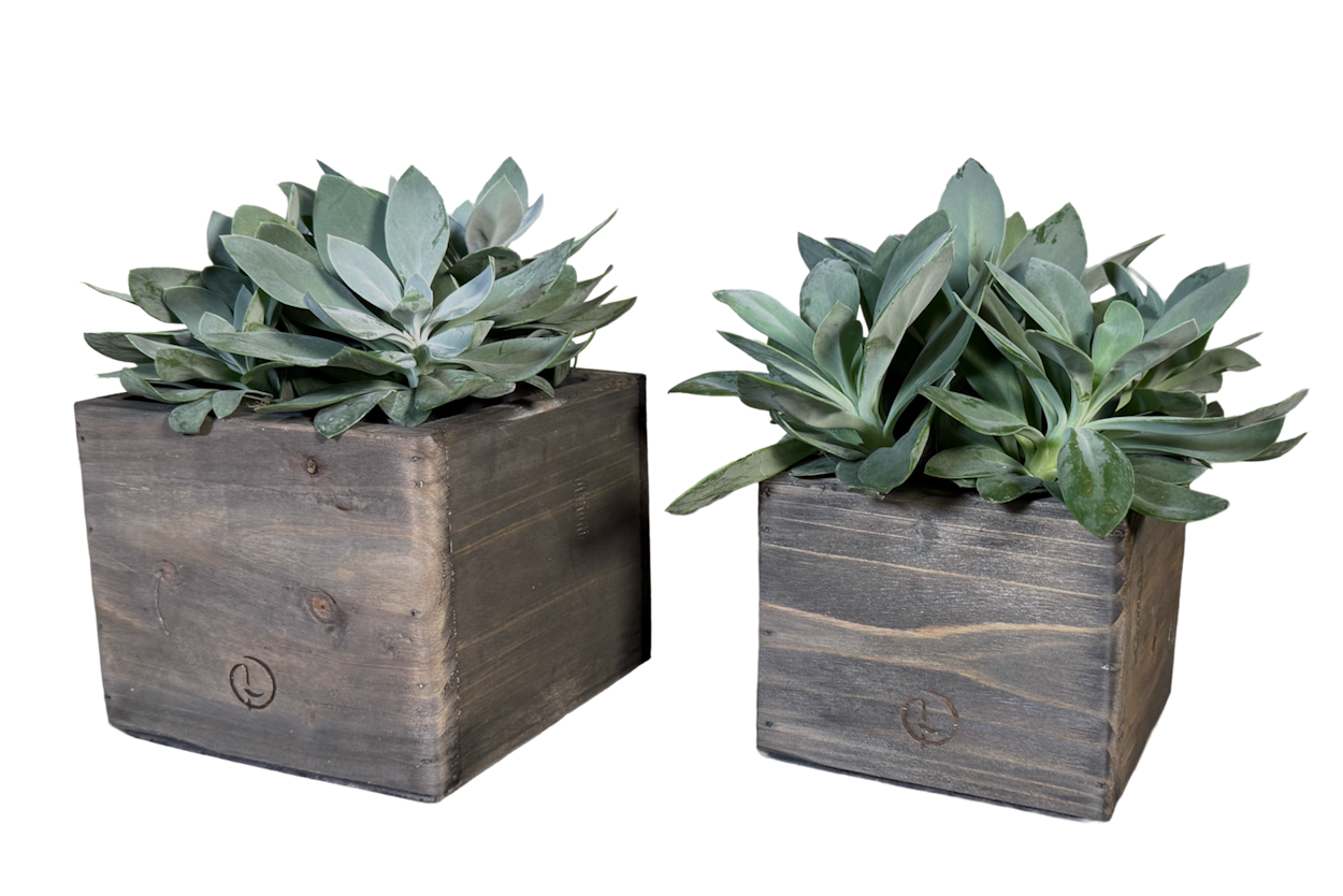 pot cairo grey jacob 15-8