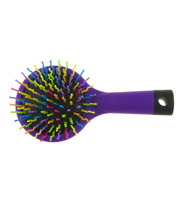 Borstel met spiegel multicolor
