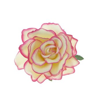 Goudhaartje Haarbloem roos L kleur crème fuchsia randje