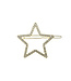 Haarclip luxe goudkleurig ster