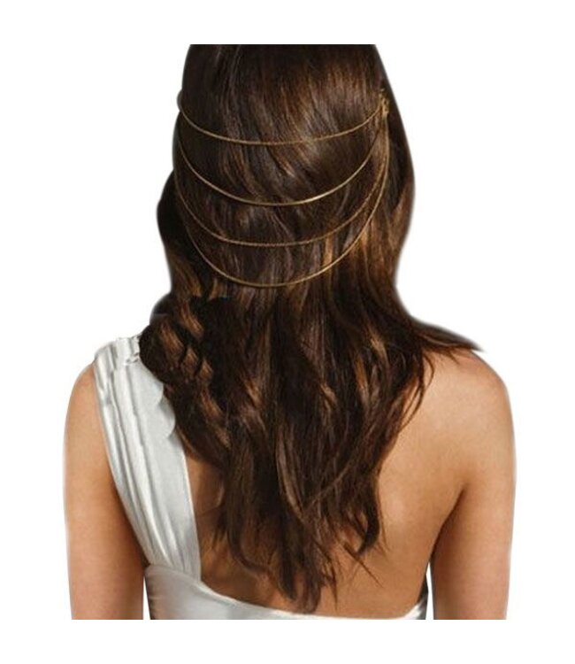 Haarketting met haarkammetjes zilverkleurig