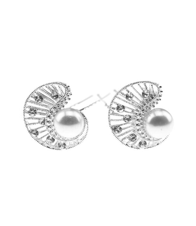 Haarpinnen swirl zilverkleurig 2 stuks