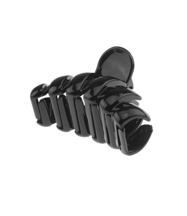 Haarklem zwart strak glans