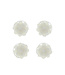 Goudhaartje Curlies chrysant wit 4 stuks