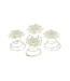 Curlies chrysant wit 4 stuks