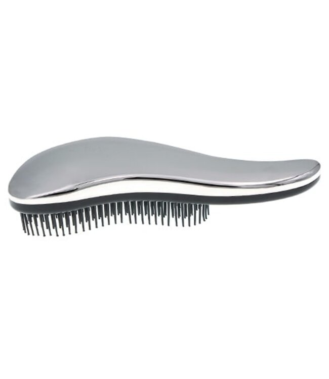 Anti klit borstel zilverkleurig