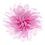 Haarbloem dahlia roze