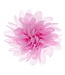 Haarbloem dahlia roze