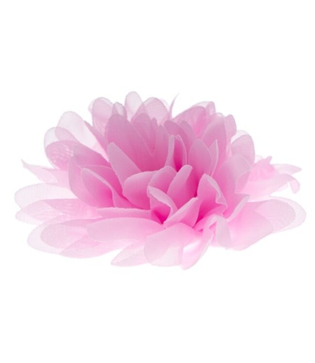Haarbloem dahlia roze