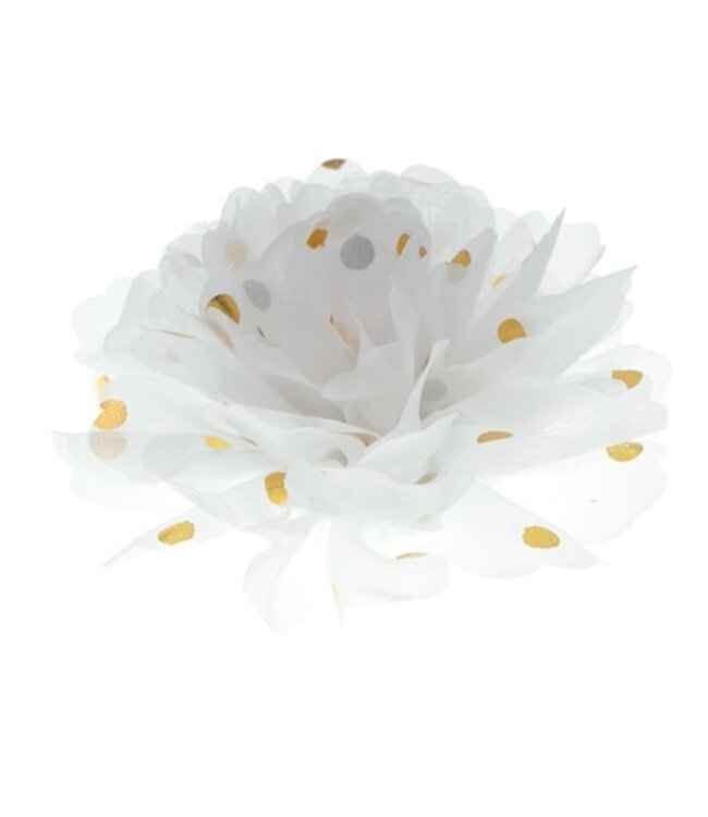 Haarbloem goudkleurige stip wit