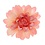 Haarbloem chrysant roze
