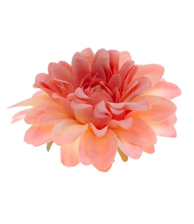 Haarbloem chrysant roze