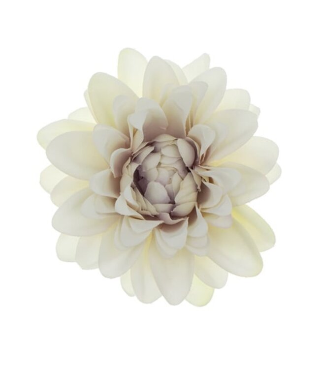 Haarbloem chrysant wit