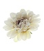 Haarbloem chrysant wit