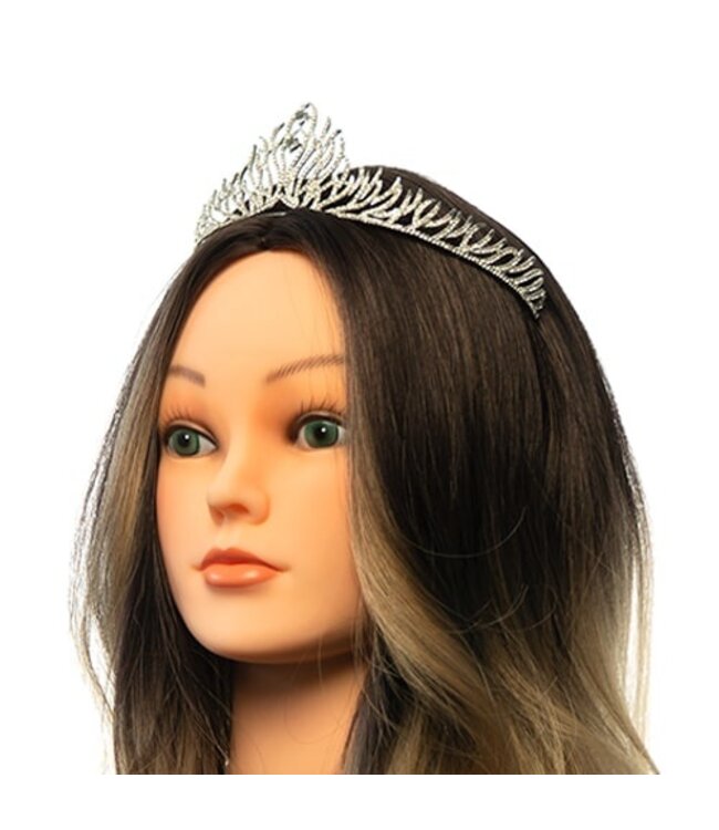 Tiara zilverkleurig verfijnde twijgen