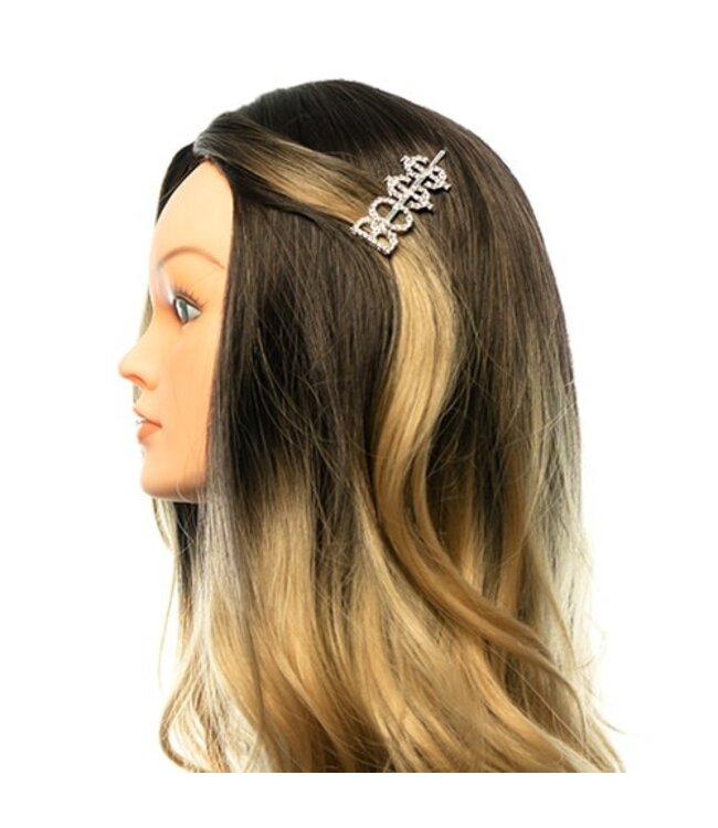 Haarschuifje zilverkleurig boss