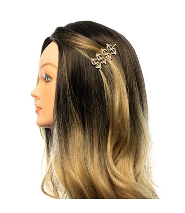 Haarschuifje goudkleurig money