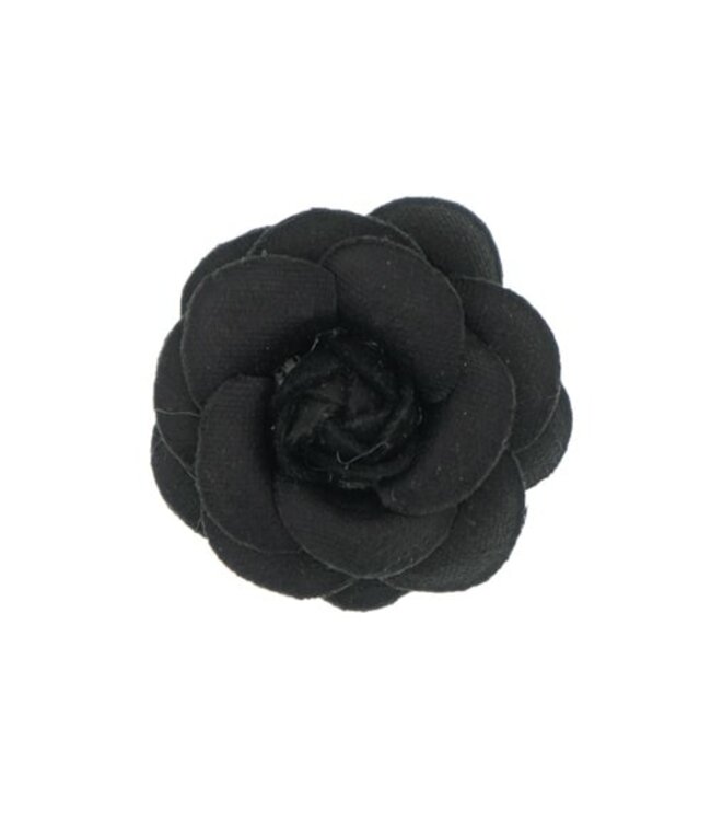 Haarbloem roosje zwart