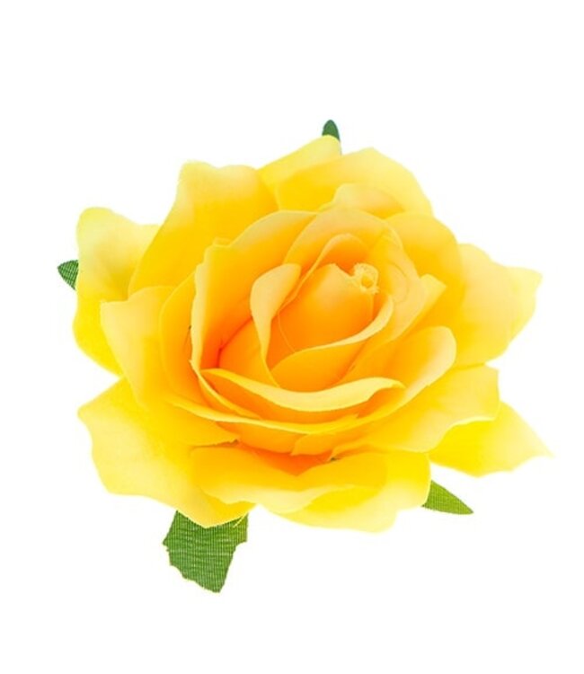 Haarbloem roos L kleur geel