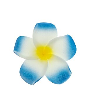  Haarbloem Hawaii blauw